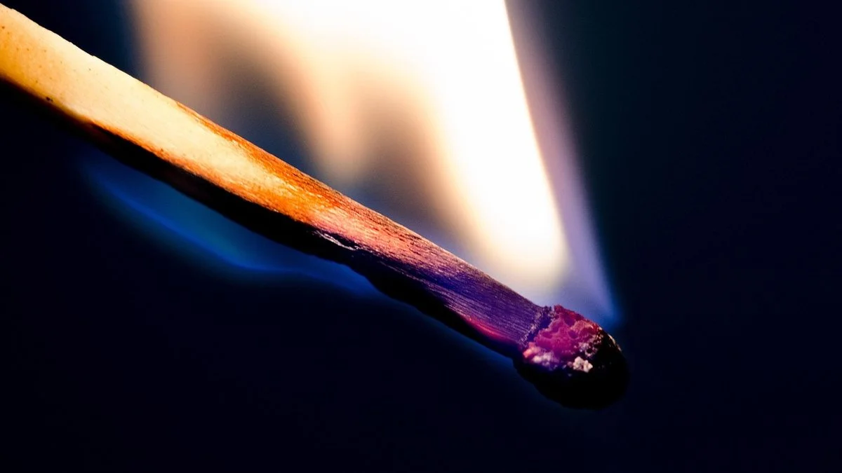 温网奖金创纪录上调20%规则调整回应球员诉求